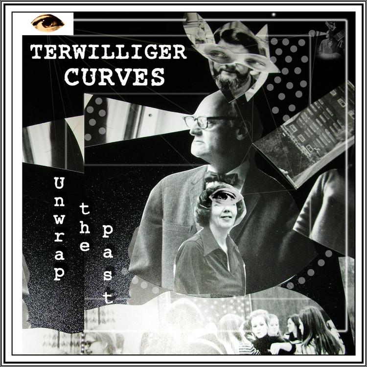 Terwilliger Curves's avatar image