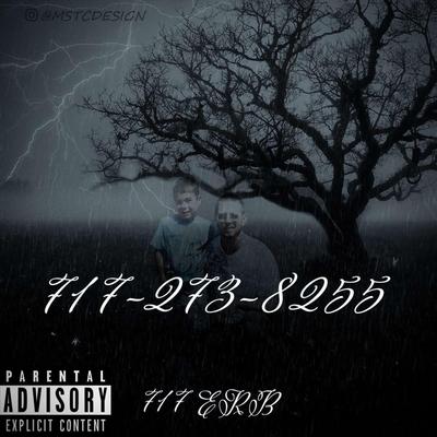 717-273-8255's cover