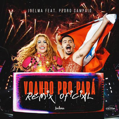 Voando pro Pará (Pedro Sampaio Remix Oficial)'s cover