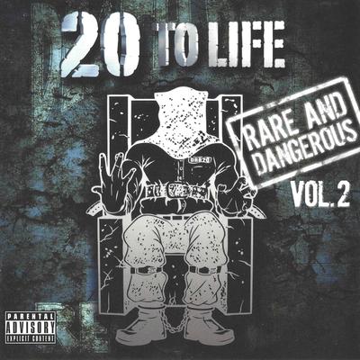 20 to Life: Rare and Dangerous, Vol. 2's cover