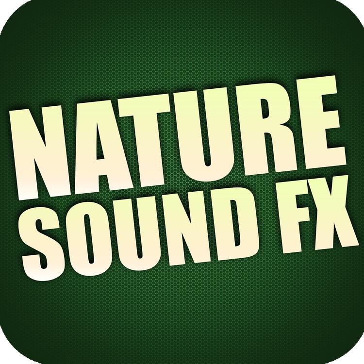 Royalty Free Sound Effects Factory's avatar image