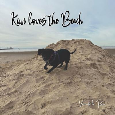 Kiwi Loves the Beach's cover