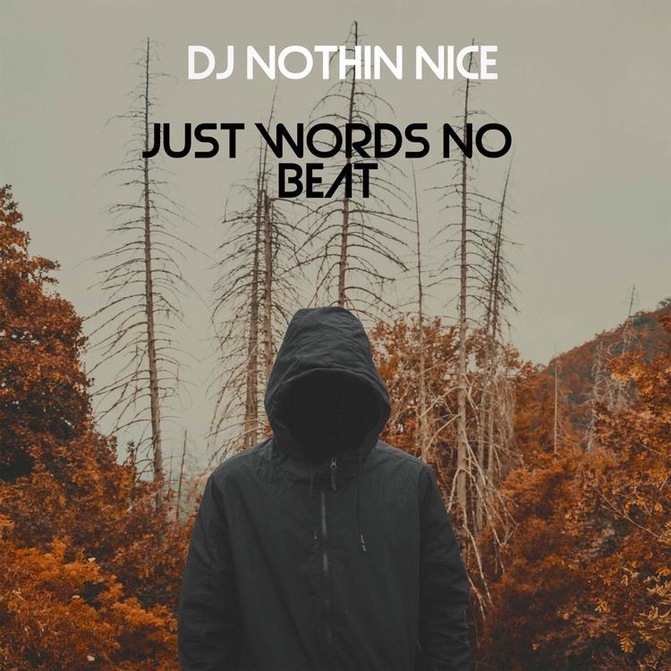 Dj Nothin Nice's avatar image