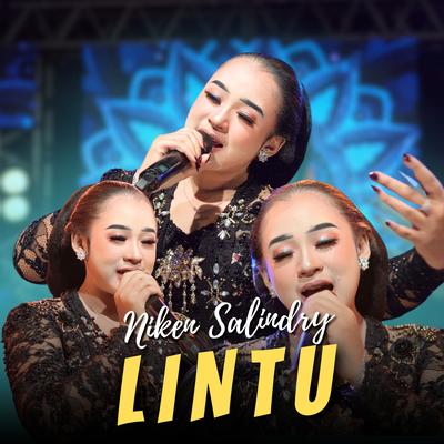 LINTU By Niken Salindry's cover