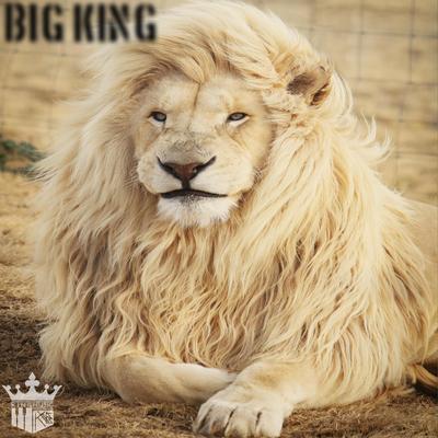 Big king's cover