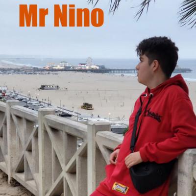 Mr Nino's cover