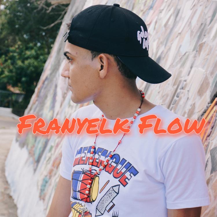 Franyelk Flow's avatar image