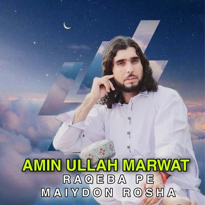 Aminullah Marwat's cover