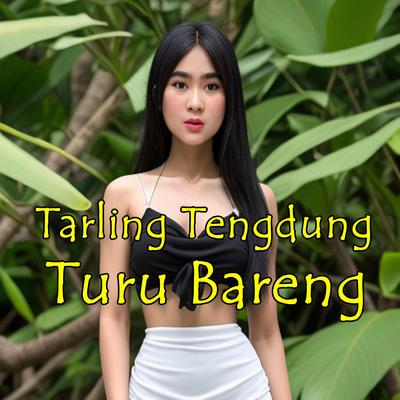 Tarling Tengdung Turu Bareng's cover