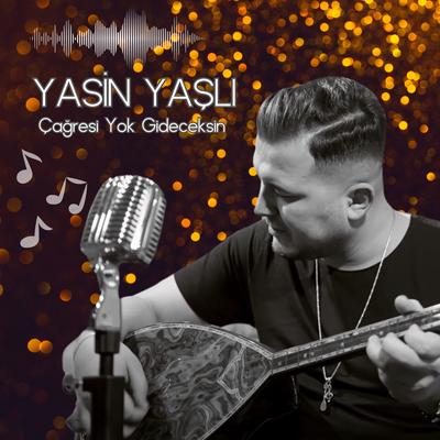 Çağresi Yok Gideceksin's cover