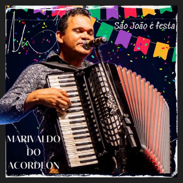 Marivaldo do Acordeon's avatar image