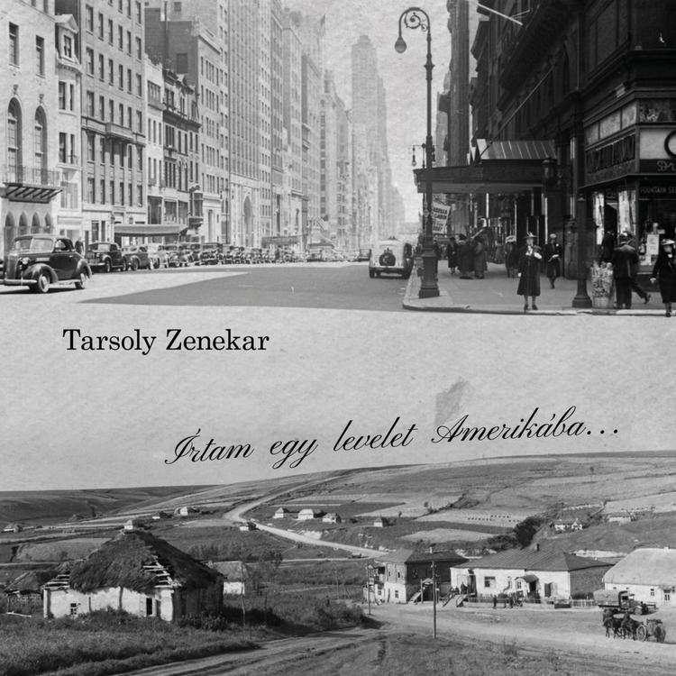 Tarsoly Zenekar's avatar image