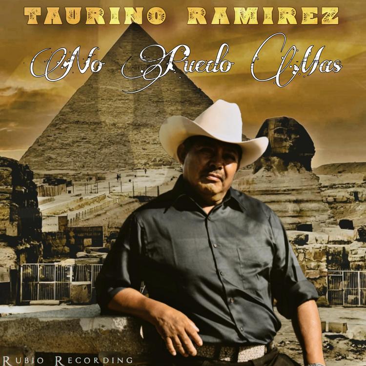 Taurino Ramirez's avatar image