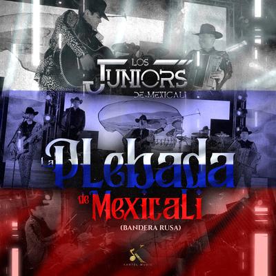 La Plebada De Mexicali (Bandera Rusa)'s cover