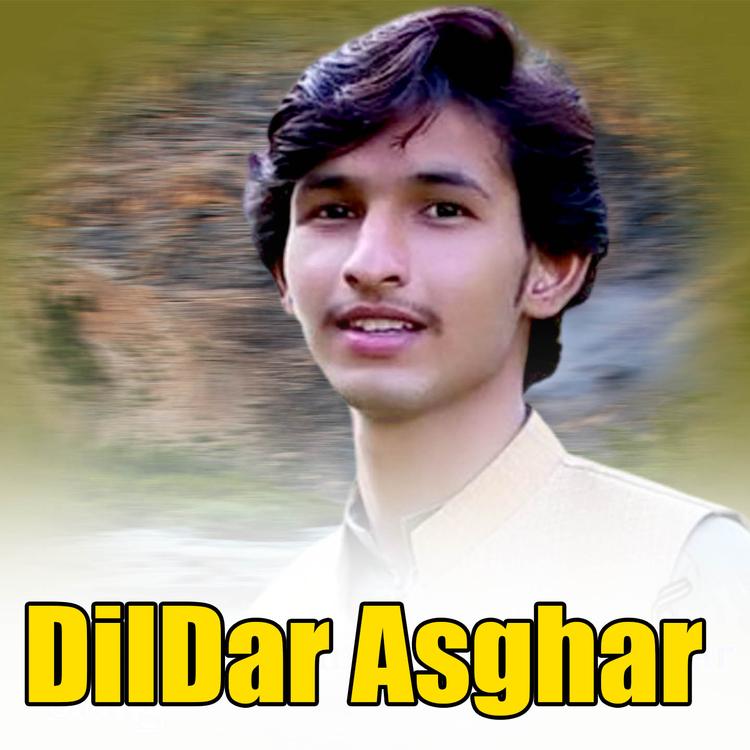 Dildar Asghar's avatar image