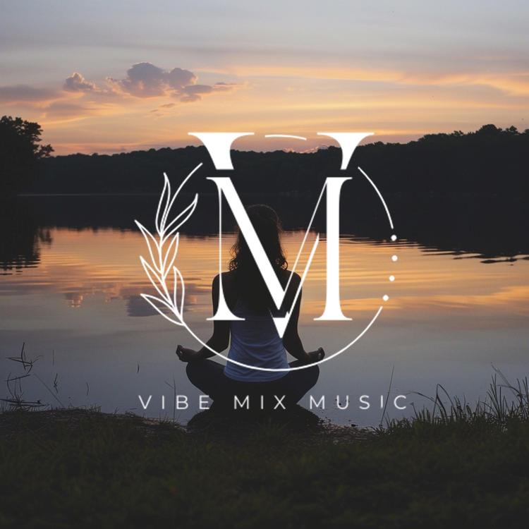 VibeMix's avatar image