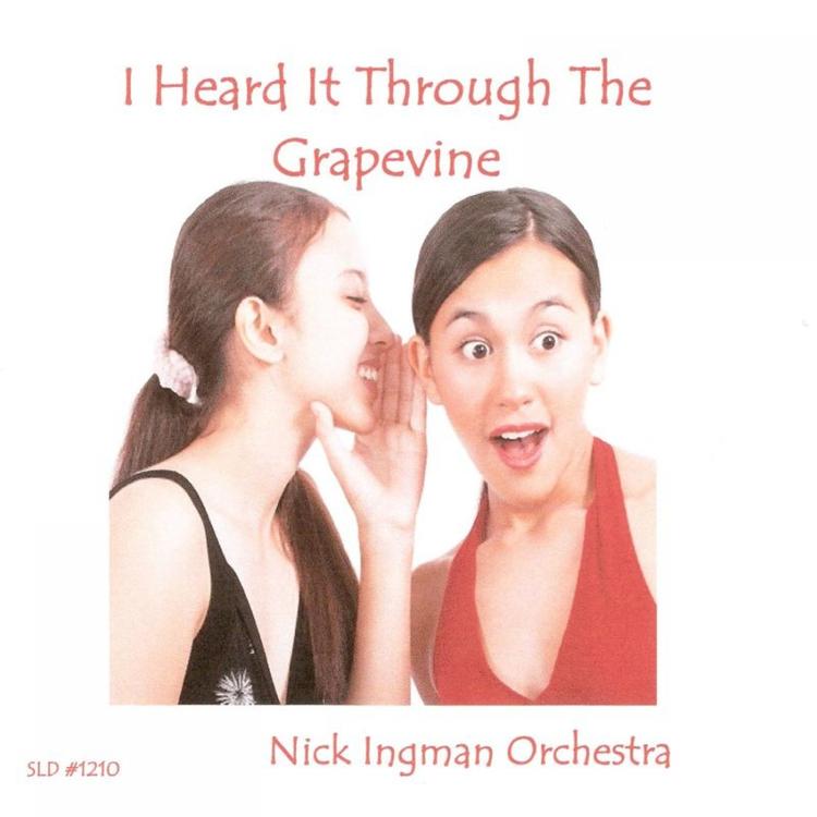 Nick Ingman Orchestra's avatar image