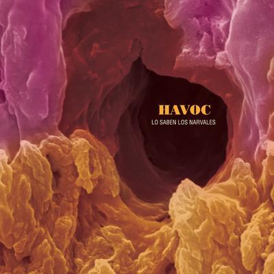 Lo Nuestro By Havoc's cover