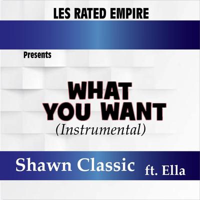 What You Want (feat. Ella) [Instrumental]'s cover
