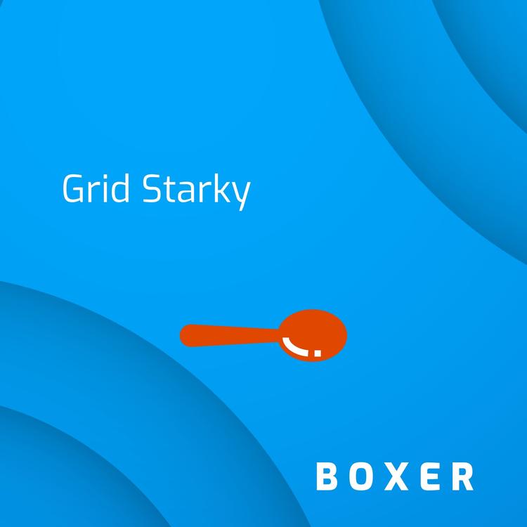 Grid Starky's avatar image