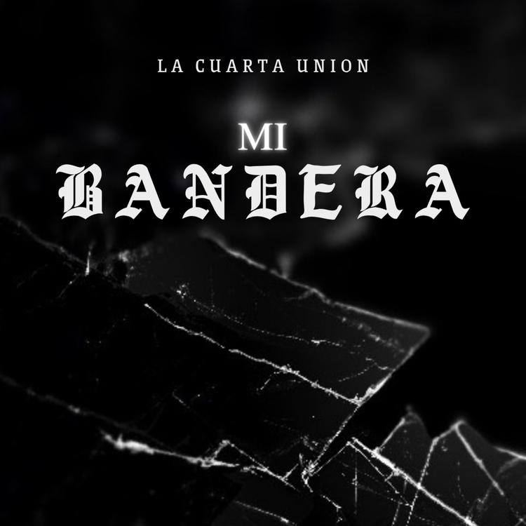 LA CUARTA UNION's avatar image