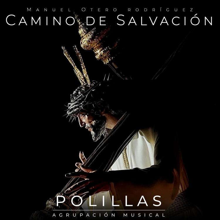 Agrupación Musical Polillas's avatar image