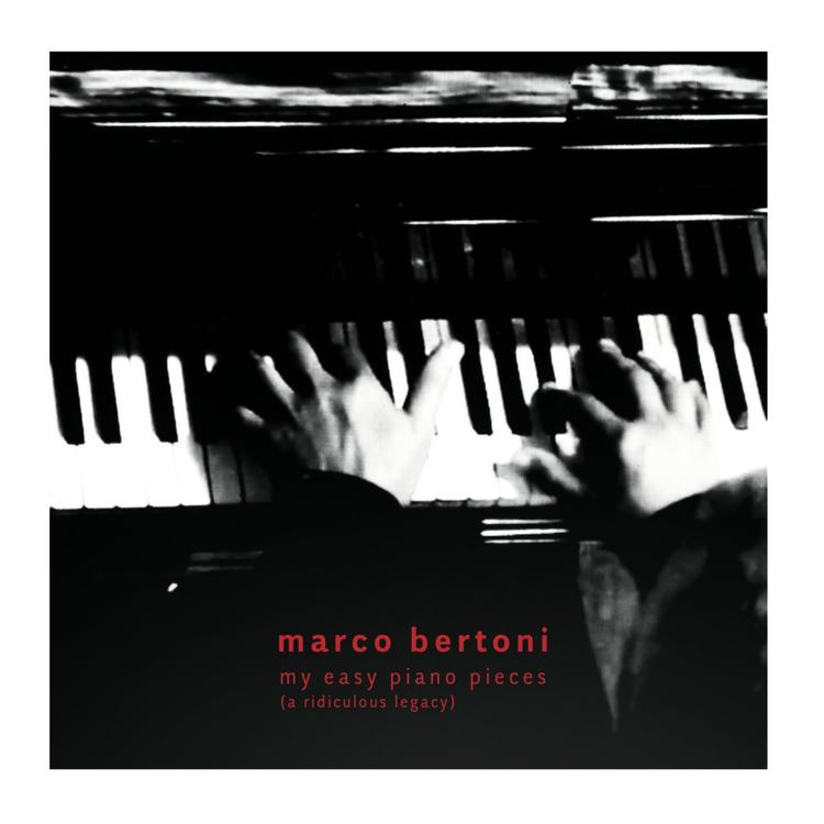 Marco Bertoni's avatar image