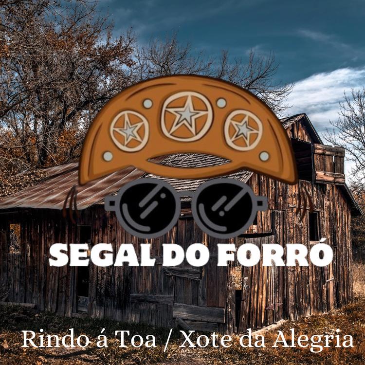 Segal do Forró's avatar image