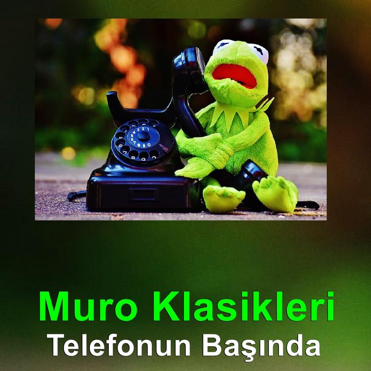 Muro Klasikleri's avatar image