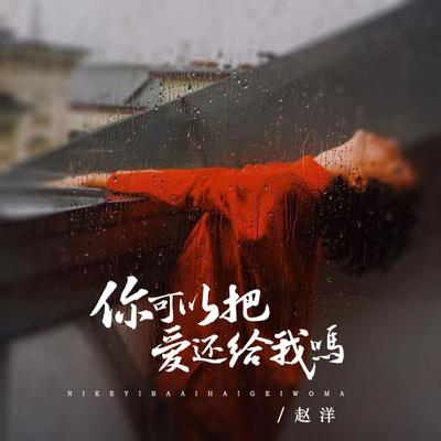 你可以把爱还给我吗 (傻瓜版 伴奏)'s cover