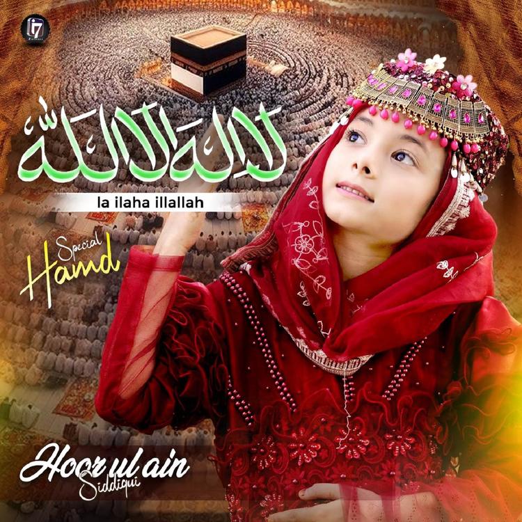 Hoor ul Ain Siddiqui's avatar image