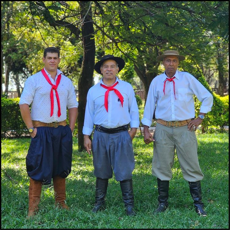 Musical Essência do sul's avatar image