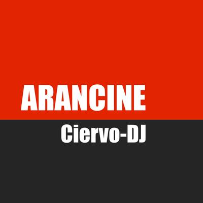ARANCINE's cover