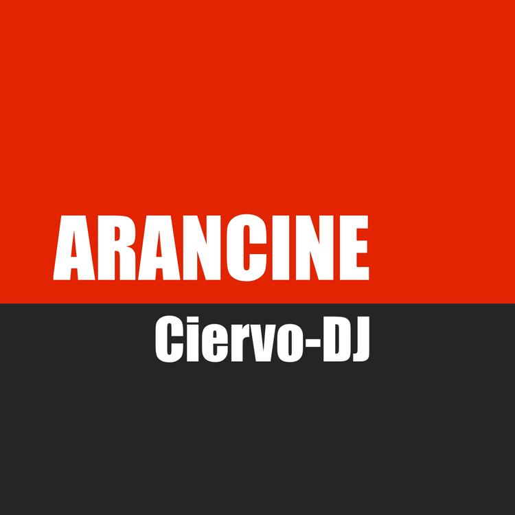 CIERVO-DJ's avatar image