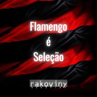 Flamengo é Seleção's cover