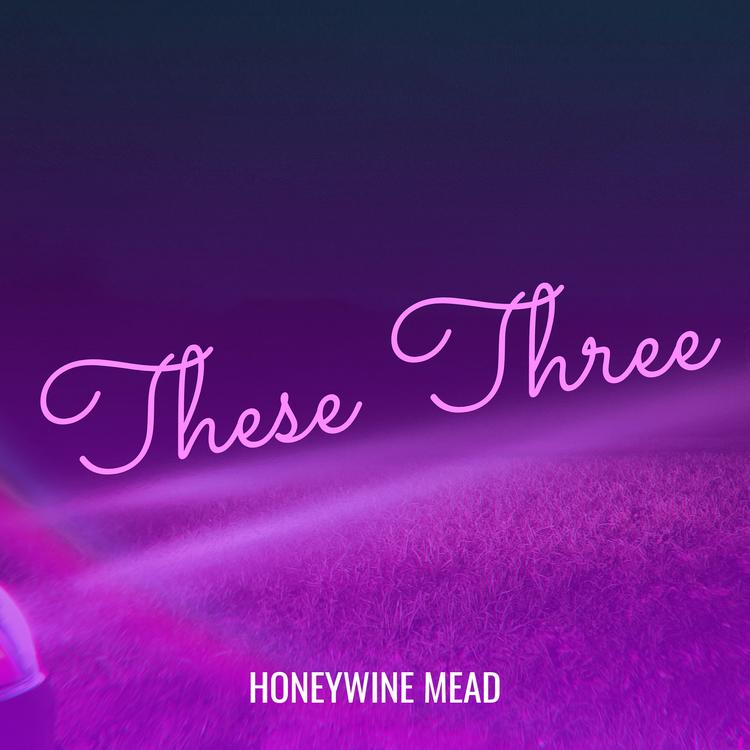 HoneyWine Mead's avatar image
