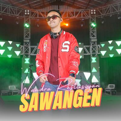 Sawangen (Remix)'s cover
