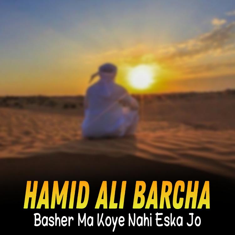 Hamid Ali Barcha's avatar image