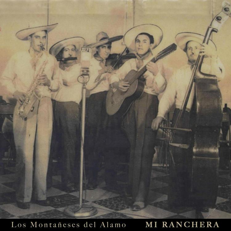 Los Montañeses del Alamo's avatar image