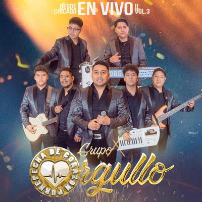 Grupo Orgullo De Corazón Purhepecha's cover