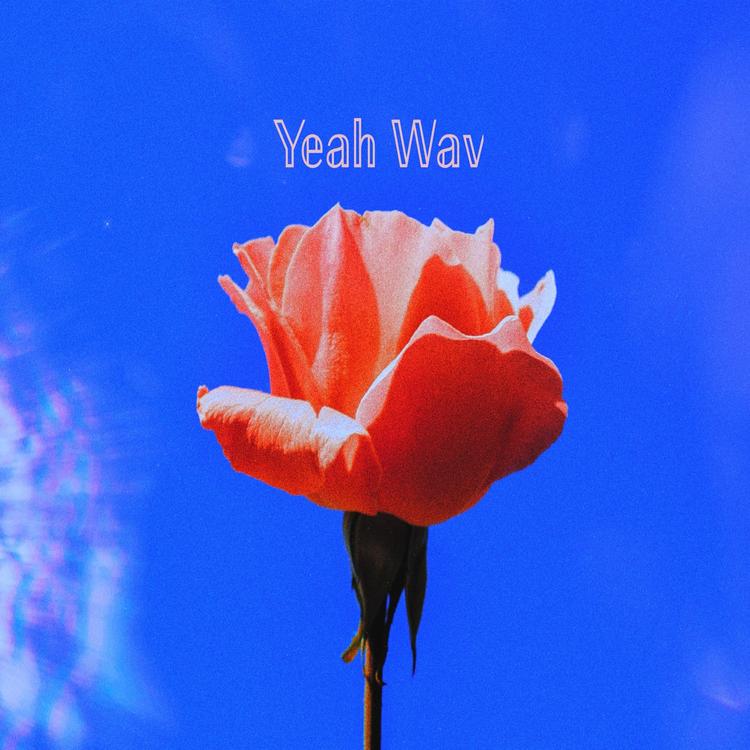 Yeah Wav's avatar image