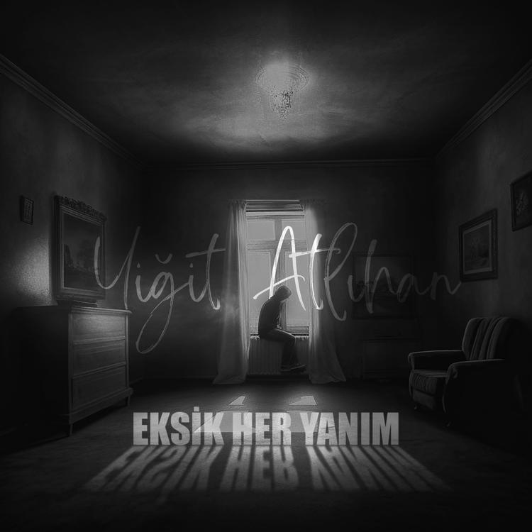 Yiğit Atlıhan's avatar image