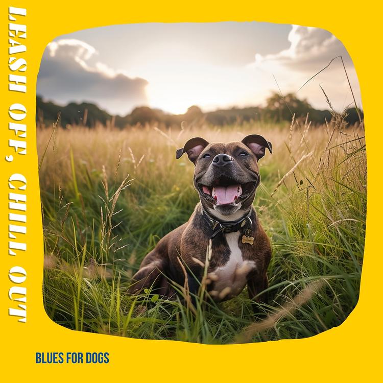 Blues for Dogs's avatar image