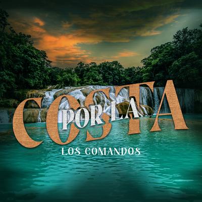 Los comandos's cover