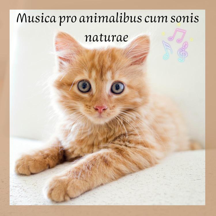 BS Mulcet sonos pro animalibus's avatar image