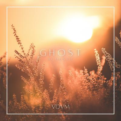 Ghost (Acoustic) By VDVM's cover