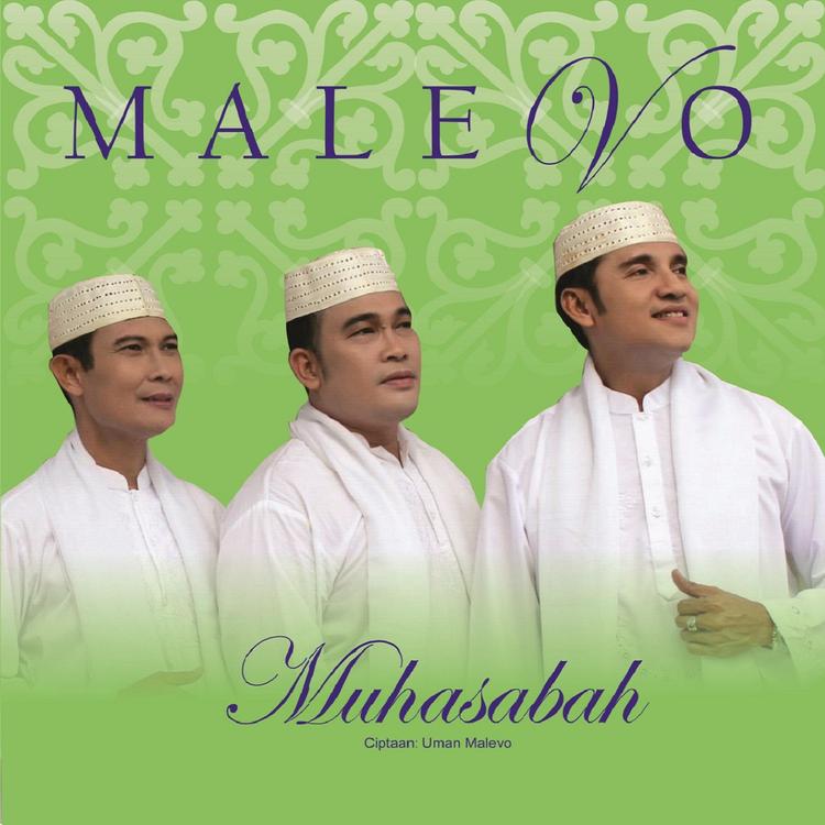 Malevo Indonesia's avatar image