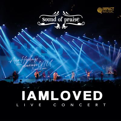 I Am Loved (Live)'s cover