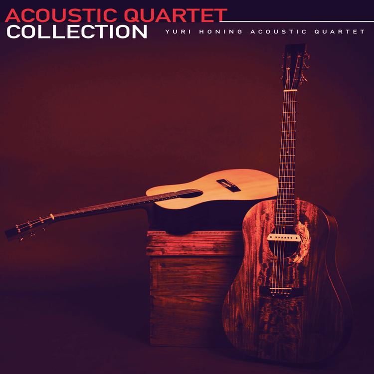 Yuri Honing Acoustic Quartet's avatar image