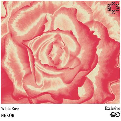 White Rose By NEKOB's cover
